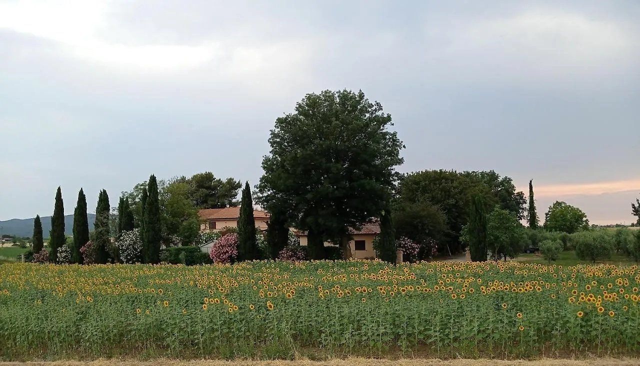 Agriturismo Podere San Carlo Villa Marsiliana Farm stay