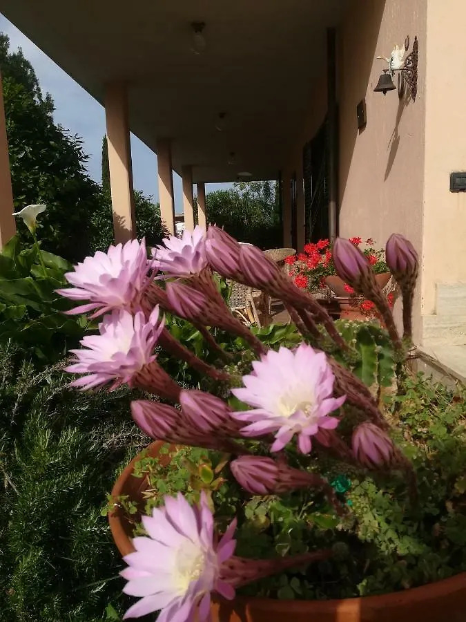 Agriturismo Podere San Carlo Villa Marsiliana Italy